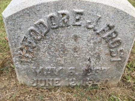 FROST, THEODORE JESSE - Windham County, Vermont | THEODORE JESSE FROST - Vermont Gravestone Photos