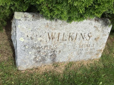 WILKINS, CASPER S. - Windham County, Vermont | CASPER S. WILKINS - Vermont Gravestone Photos