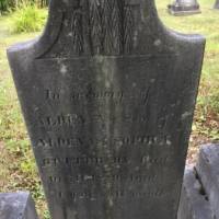 Alden Newell GUTTERSON