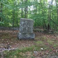 Family Stone LANE